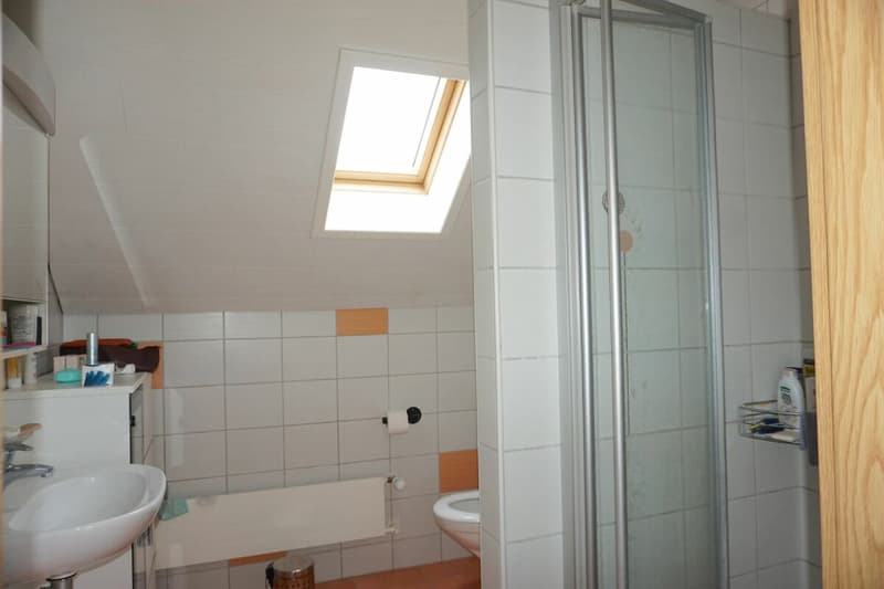 ARI-212 - Casa abitazione/locali commerciali - modulabile (13)