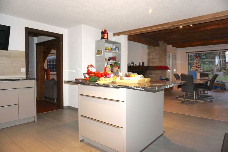 Grande casa di 8,5 locali con uffici e laboratorio (10)