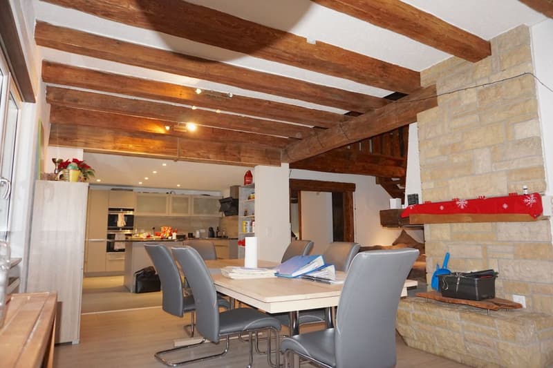 Grande casa di 8,5 locali con uffici e laboratorio (4)