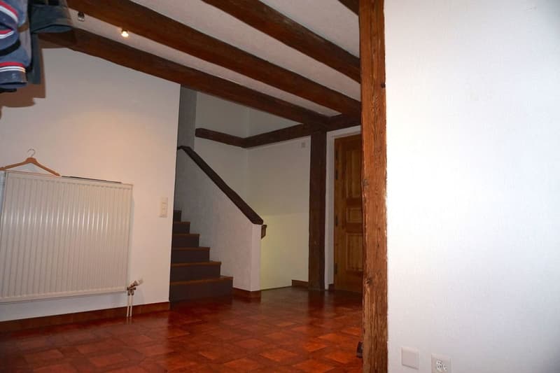 Grande casa di 8,5 locali con uffici e laboratorio (11)