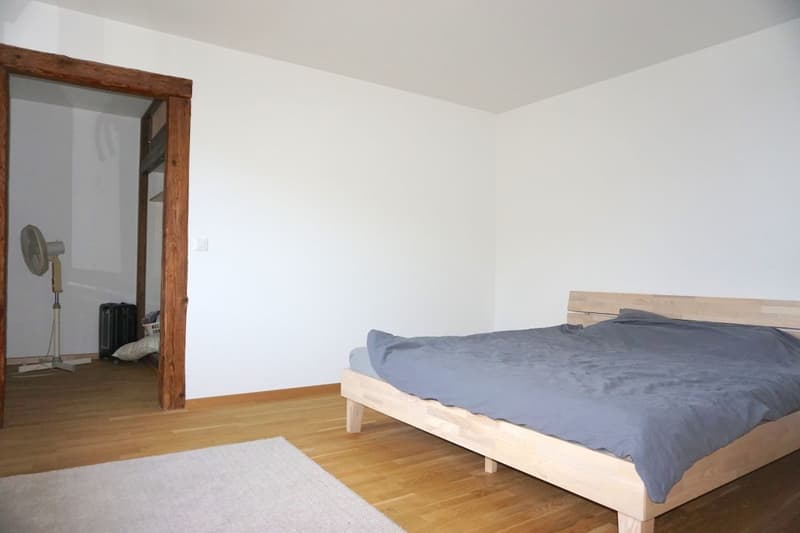 Grande casa di 8,5 locali con uffici e laboratorio (12)