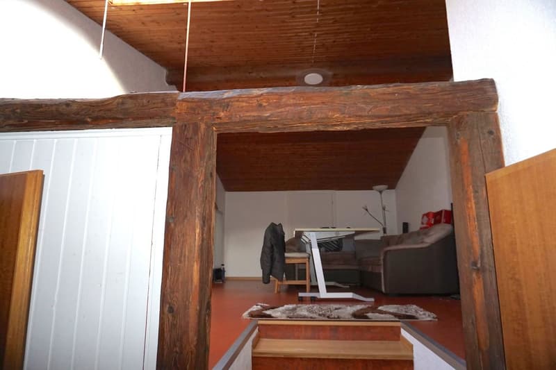 Grande casa di 8,5 locali con uffici e laboratorio (18)