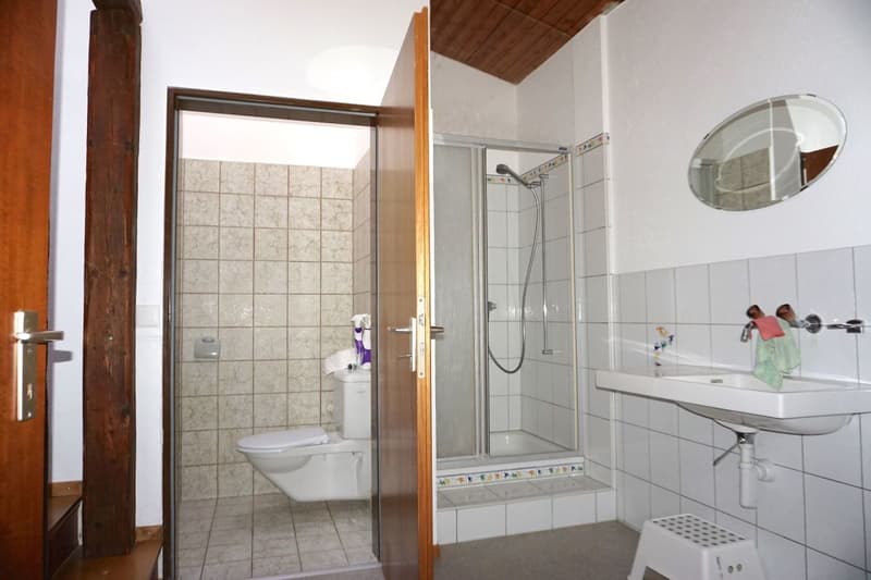 Grande casa di 8,5 locali con uffici e laboratorio (21)