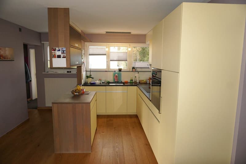 ARI-231 Casa individuale ristrutturata di 5,5 locali su un terreno di 760 m2 (7)