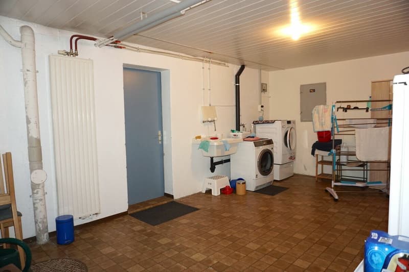 ARI-231 Casa individuale ristrutturata di 5,5 locali su un terreno di 760 m2 (12)