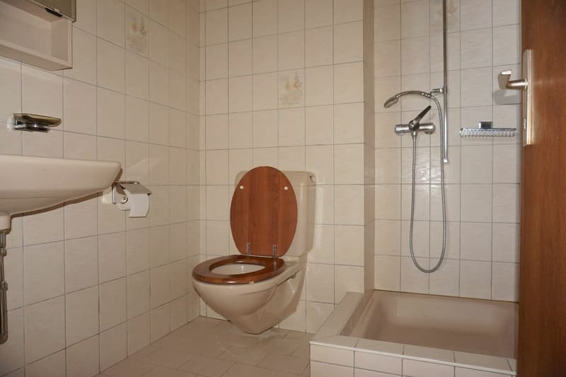 ARI-237 Attico di 6,5 locali per 172 m2 abitabili e 66 m2 di terrazza (8)