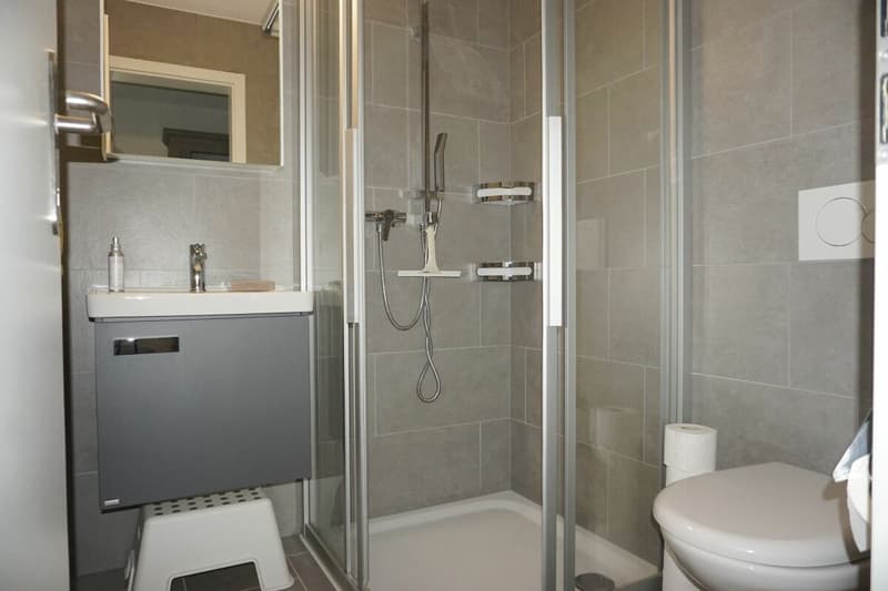 ARI-240 - Appartamento al piano terra con 5,5 locali, sud-ovest, vista libera, 133 m2 superficie abitabile (13)