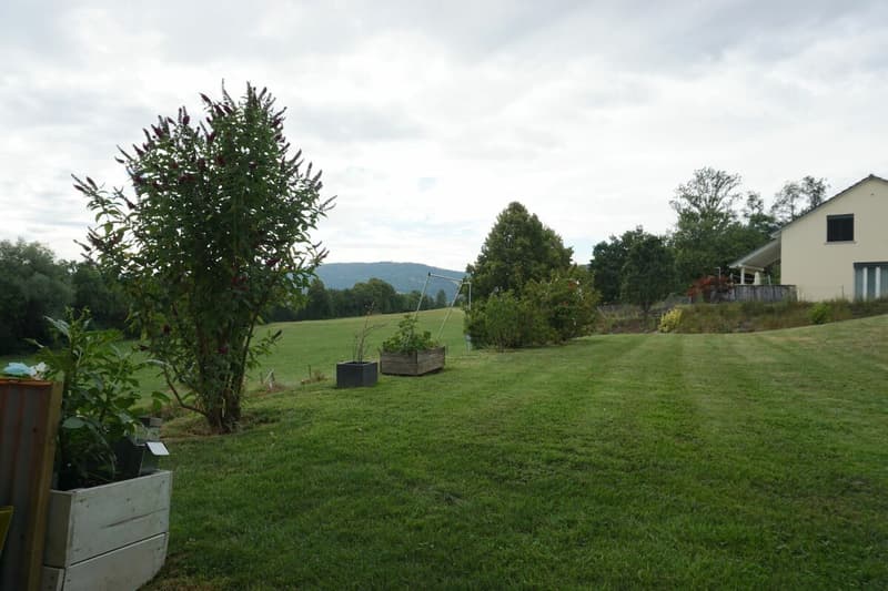 ARI-240 - Appartamento al piano terra con 5,5 locali, sud-ovest, vista libera, 133 m2 superficie abitabile (9)