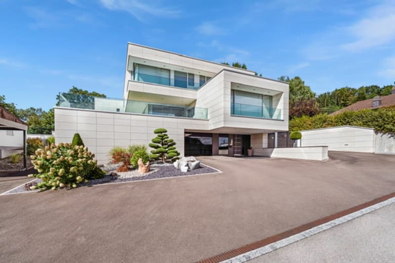 ARI-245 - Luxury Villa - 8 rooms for 800 m2 living space 45 minutes from Basel! (9)