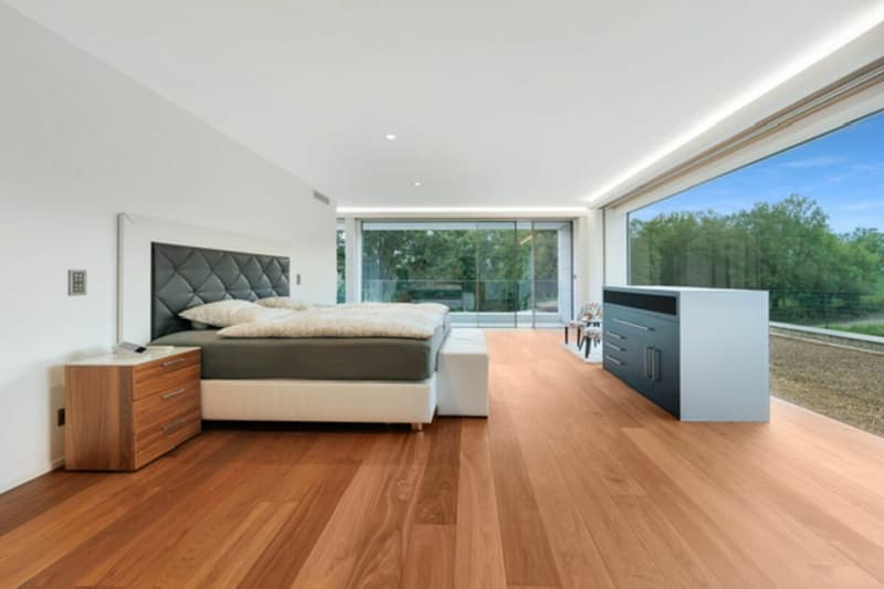 ARI-245 - Luxury Villa - 8 rooms for 800 m2 living space 45 minutes from Basel! (6)