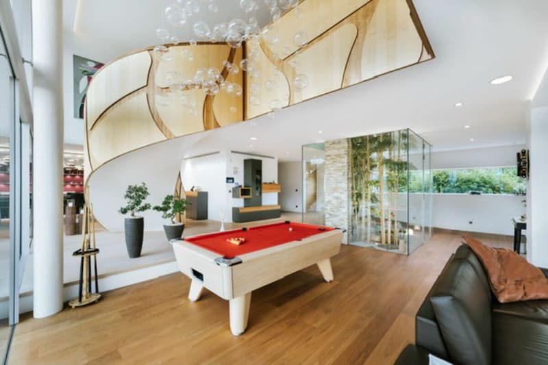 ARI-245 - Luxury Villa - 8 rooms for 800 m2 living space 45 minutes from Basel! (2)
