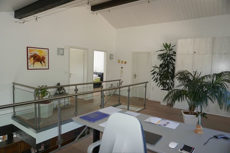 Luxurious villa with pool and breathtaking view (9)