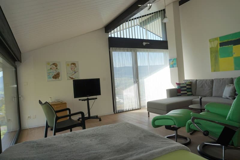 Luxurious villa with pool and breathtaking view (6)