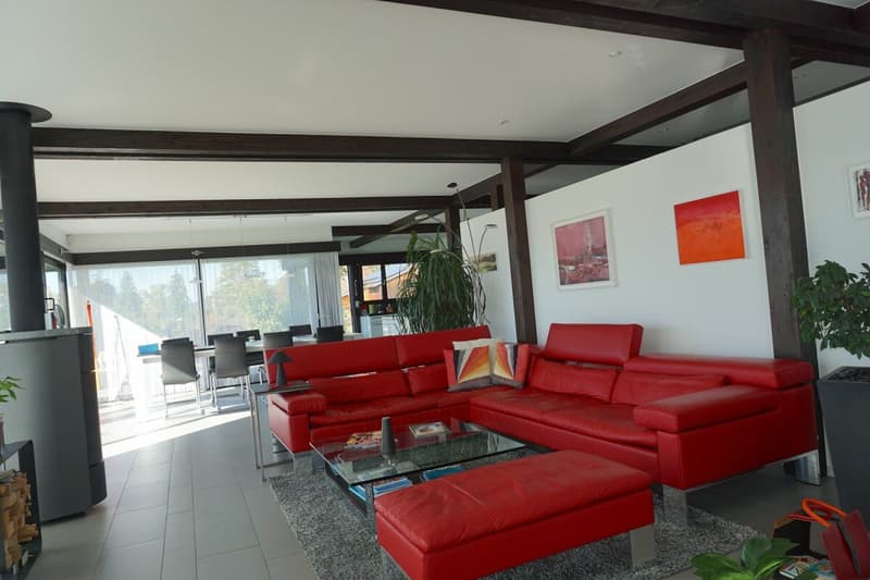 Luxurious villa with pool and breathtaking view (11)