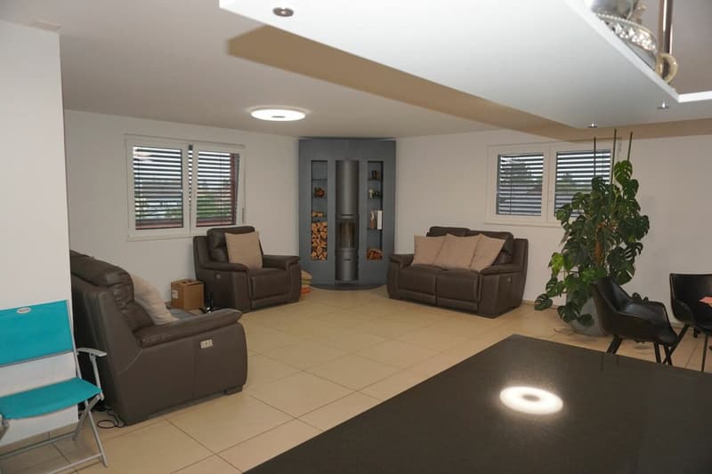 ARI-247 - Attique de 5,5 pièces pour 140 m2 habitable et 128 m2 de terrasse (4)