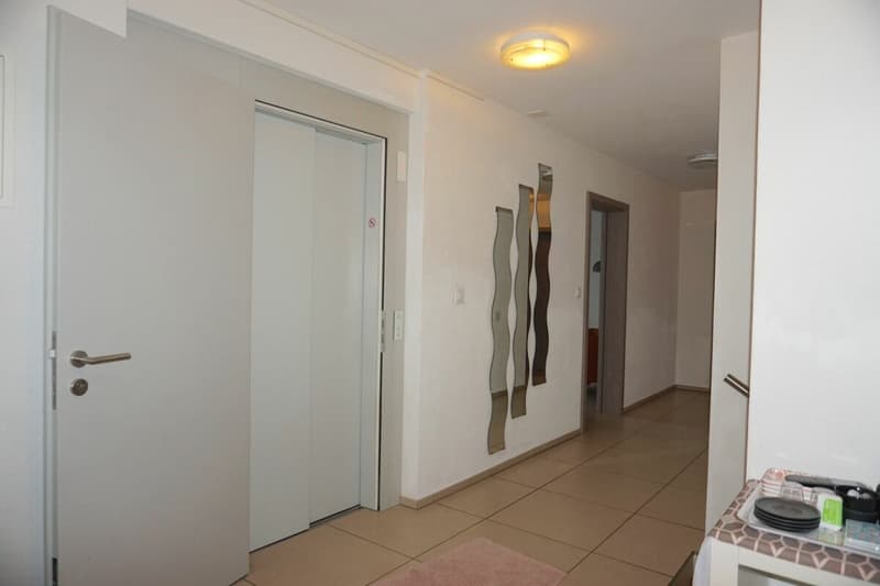 ARI-247 - Attique de 5,5 pièces pour 140 m2 habitable et 128 m2 de terrasse (3)