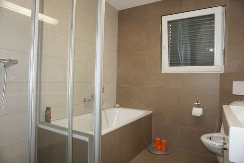 ARI-247 - Attique de 5,5 pièces pour 140 m2 habitable et 128 m2 de terrasse (5)
