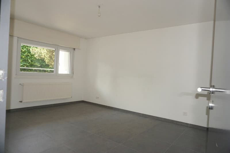 ARI-236 - Rental Yield - Very beautiful house with 2 apartments of 4.5 and 3.5 rooms on a plot of 1'134 m2. copy (16)