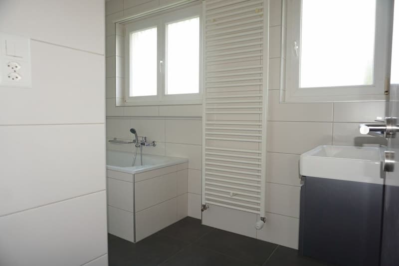 ARI-236 - Rental Yield - Very beautiful house with 2 apartments of 4.5 and 3.5 rooms on a plot of 1'134 m2. copy (10)