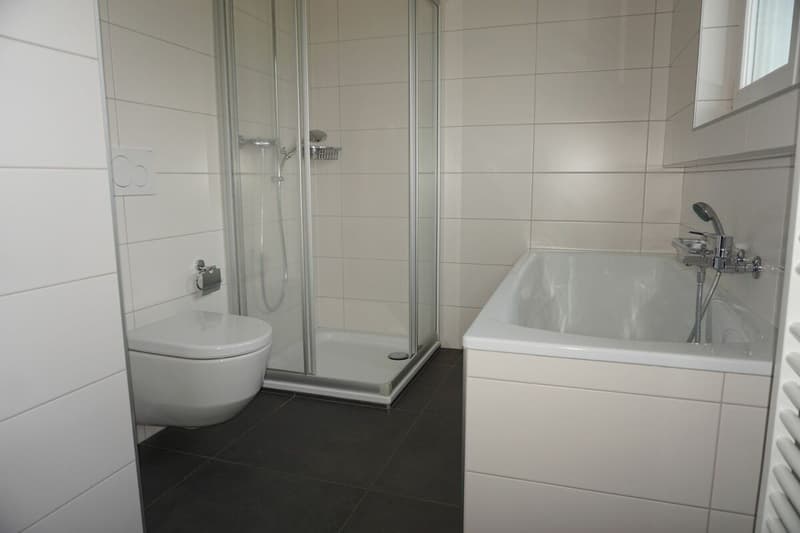 ARI-236 - Rental Yield - Very beautiful house with 2 apartments of 4.5 and 3.5 rooms on a plot of 1'134 m2. copy (9)