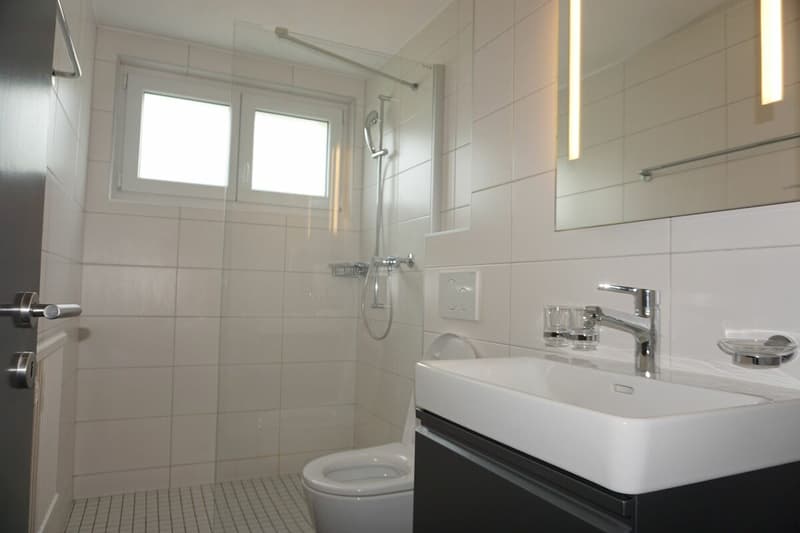 ARI-236 - Rental Yield - Very beautiful house with 2 apartments of 4.5 and 3.5 rooms on a plot of 1'134 m2. copy (15)