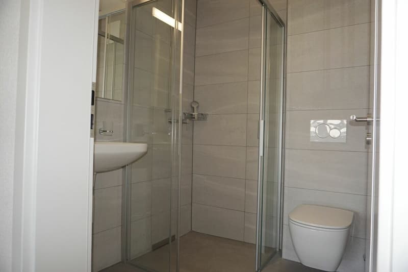 Appartamento di 3,5 locali - Superficie netta di 74 m2 - Terrazza di 19 m2 - Esposizione ovest (5)