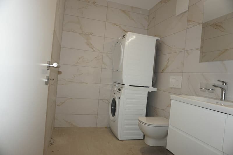 Appartamento di 3,5 locali - Superficie netta di 74 m2 - Terrazza di 19 m2 - Esposizione ovest (7)