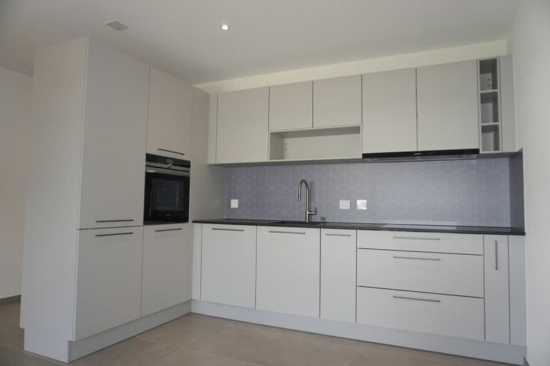 Appartamento di 3,5 locali - Superficie netta di 74 m2 - Terrazza di 19 m2 - Esposizione ovest (2)