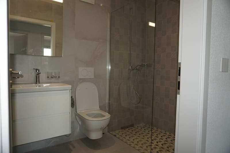 Appartamento di 4,5 locali - Superficie netta di 105 m2 - Terrazza di 47 m2 - Esposizione Ovest-Nord/Ovest (6)