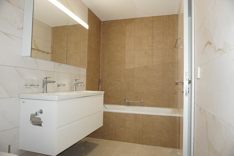 Appartamento di 4,5 locali - Superficie netta di 105 m2 - Terrazza di 47 m2 - Esposizione Ovest-Nord/Ovest (7)