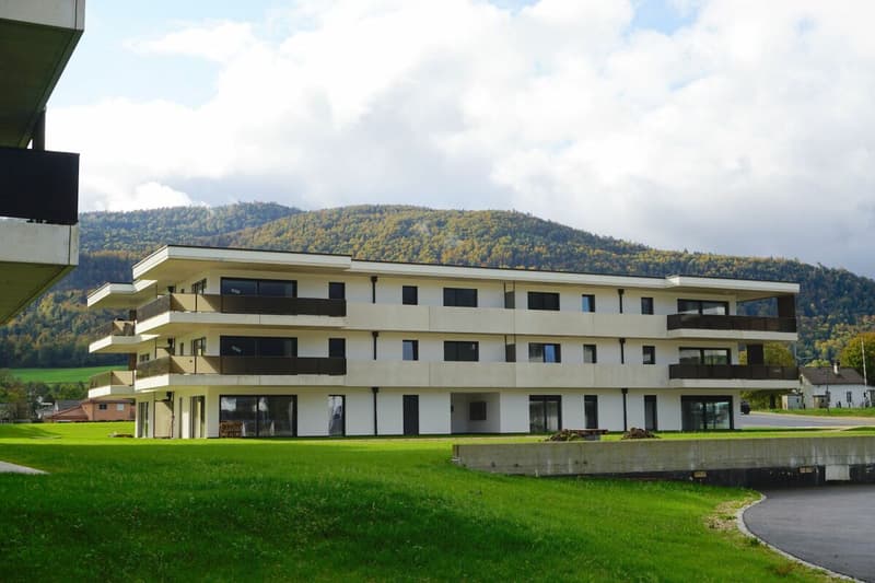 Appartamento di 4,5 locali - Superficie netta di 105 m2 - Terrazza di 40 m2 - Esposizione Ovest-Nord/Ovest (11)