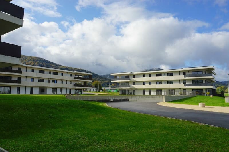 Appartamento di 4,5 locali - Superficie netta di 105 m2 - Terrazza di 47 m2 - Orientato ovest-nord/ovest (12)