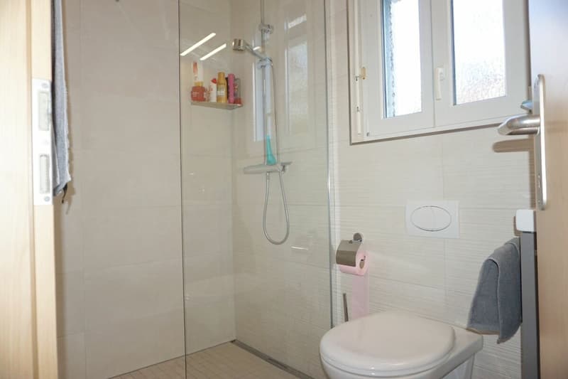ARI-251 - Very beautiful bright 6-room house, ideally located, 240 m2 living space (8)