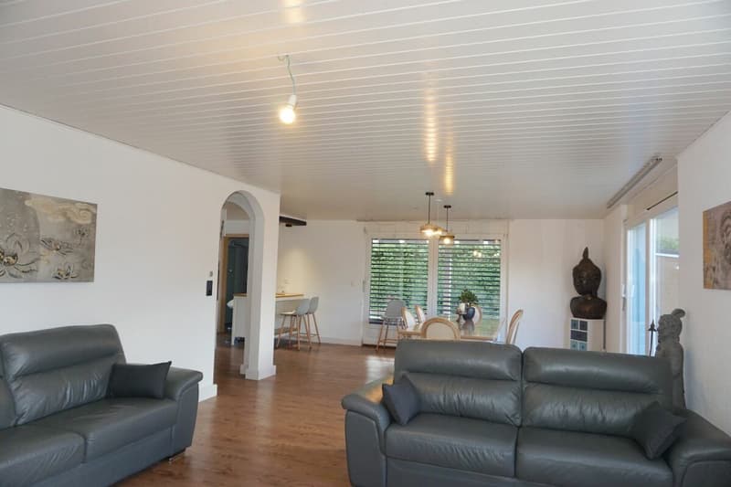 ARI-251 - Very beautiful bright 6-room house, ideally located, 240 m2 living space (5)