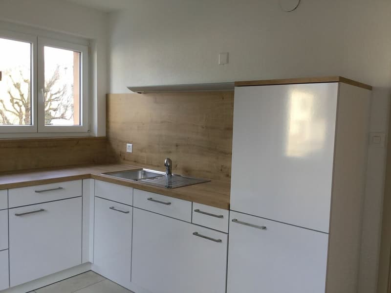 ARI-253 - Building with 3 apartments, 3 garages and 2 parking spaces near CFF train station (12)