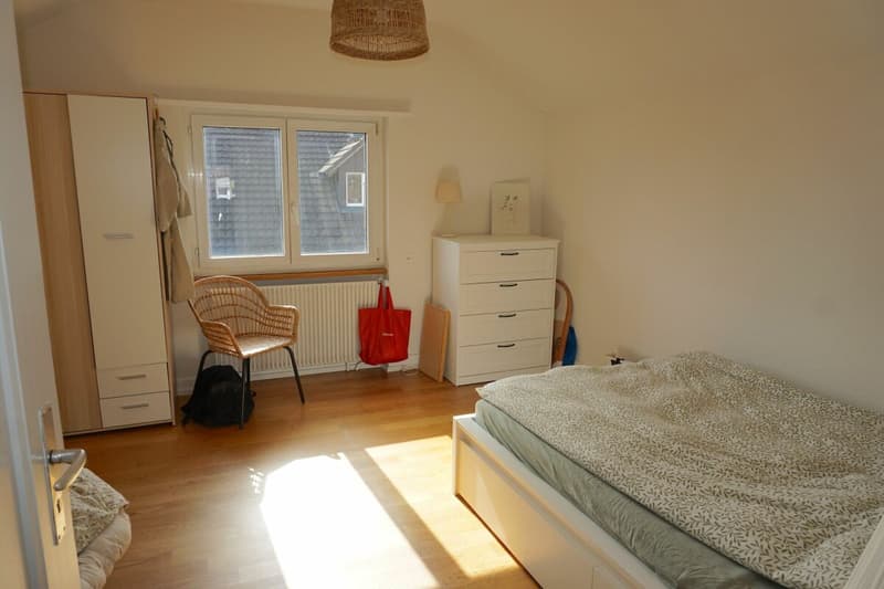 ARI-253 - Building with 3 apartments, 3 garages and 2 parking spaces near CFF train station (5)