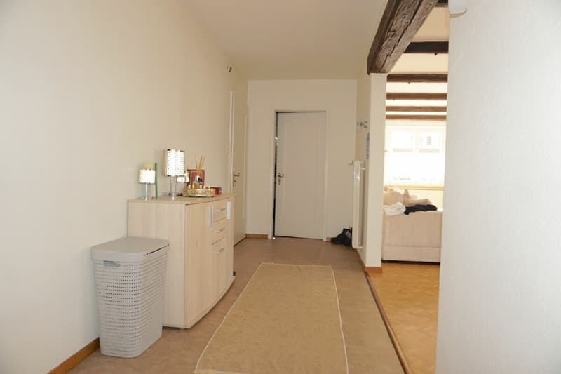 ARI-253 - Building with 3 apartments, 3 garages and 2 parking spaces near CFF train station (8)