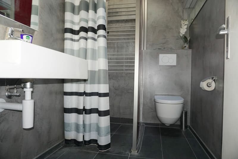 ARI-258 - Single-family house with 6.5 rooms on a plot of 1'572 m2 (21)