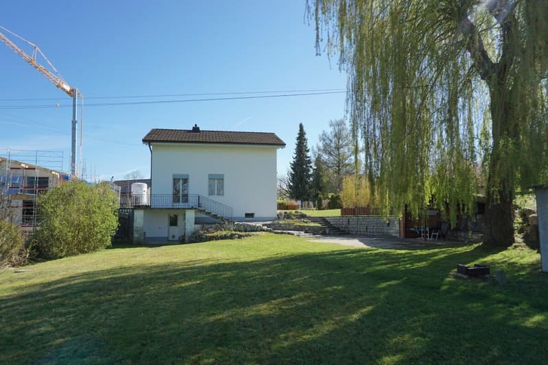 ARI-258 - Single-family house with 6.5 rooms on a plot of 1'572 m2 (2)
