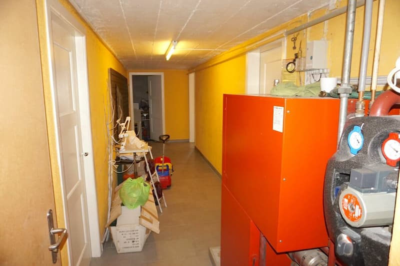 ARI-212 - Edificio misto di 250 m2 su un terreno di 723 m2 a Bassecourt (22)