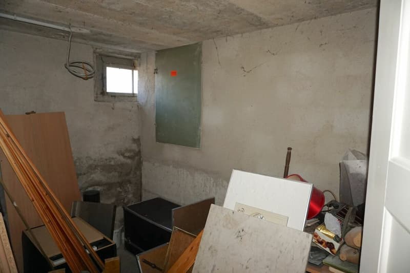 ARI-212 - Edificio misto di 250 m2 su un terreno di 723 m2 a Bassecourt (18)