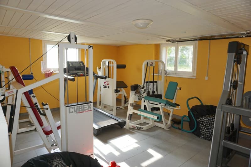 ARI-212 - Edificio misto di 250 m2 su un terreno di 723 m2 a Bassecourt (16)