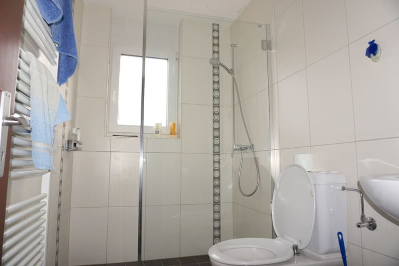 ARI-140 - Immeuble mixte constitué d'une grande maison de 8,5 pièces avec bureaux et ateliers (20)