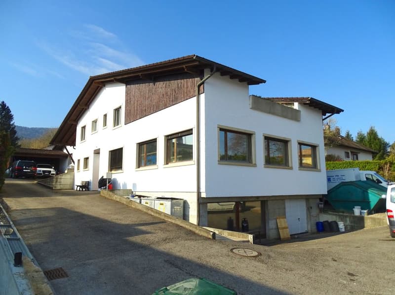 ARI-140 - Immeuble mixte constitué d'une grande maison de 8,5 pièces avec bureaux et ateliers (1)