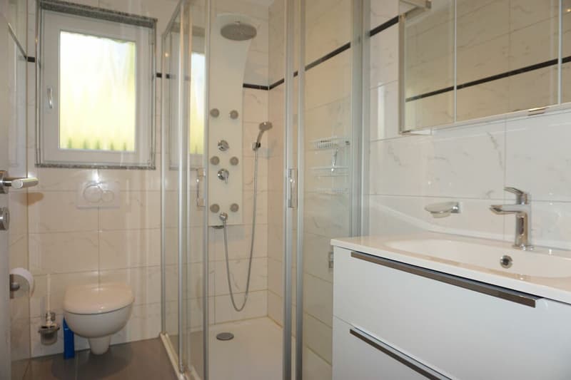 ARI-262 - Magnifique rez-de-jardin de 5,5 pièces dans une maison de standing à 2 logements (12)