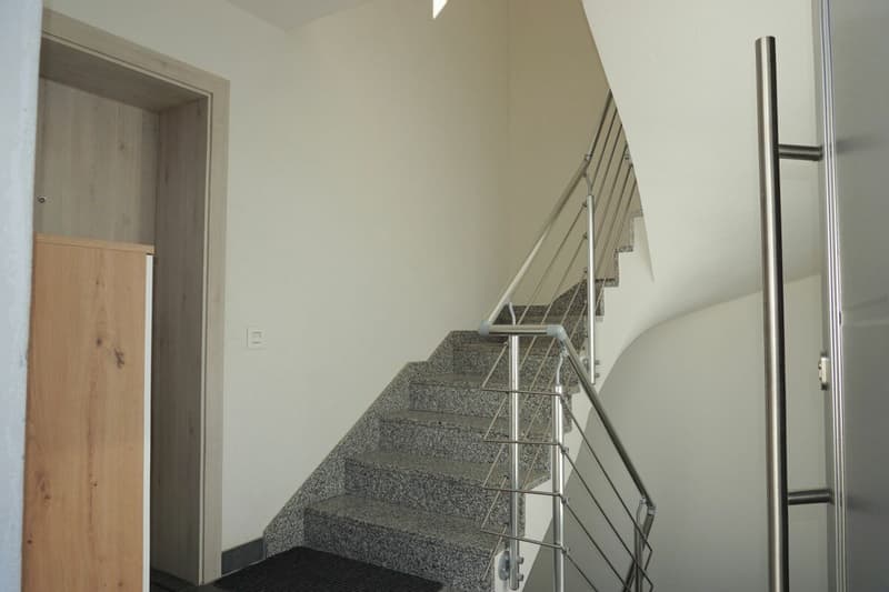 ARI-262 - Magnifique rez-de-jardin de 5,5 pièces dans une maison de standing à 2 logements (16)