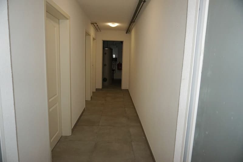 ARI-262 - Magnifique rez-de-jardin de 5,5 pièces dans une maison de standing à 2 logements (17)