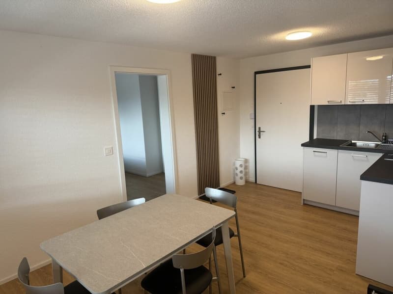 ARI-0826 - Appartement moderne de 2,5 pièces avec colonne de machines à laver/à sécher - Reprise de bail (1)