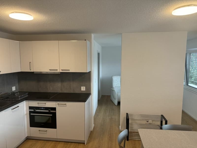 ARI-0826 - Appartement moderne de 2,5 pièces avec colonne de machines à laver/à sécher - Reprise de bail (2)