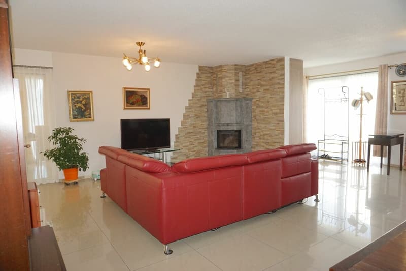 ARI-262 - Magnifique rez-de-jardin de 5,5 pièces dans une maison de standing à 2 logements (5)